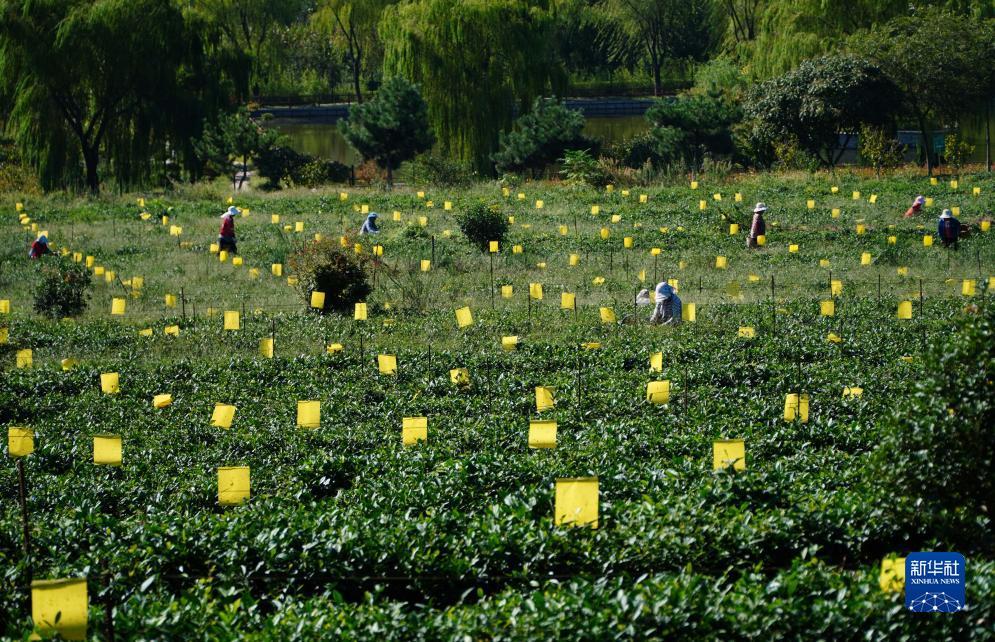 辉煌新网址